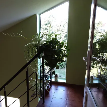 Apartamentai Geguciu Gatveje Klaipeda Exterior photo