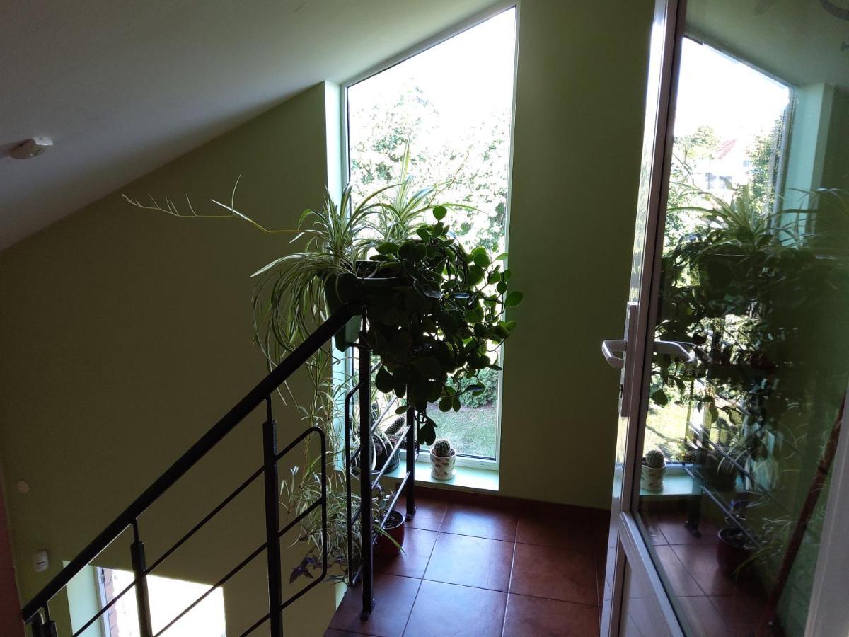 Apartamentai Geguciu Gatveje Apartment